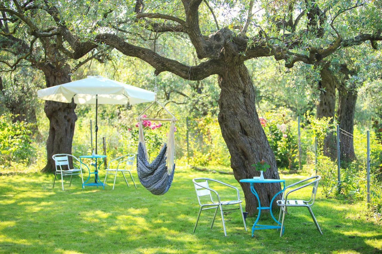 The Olive Garden Apartment *